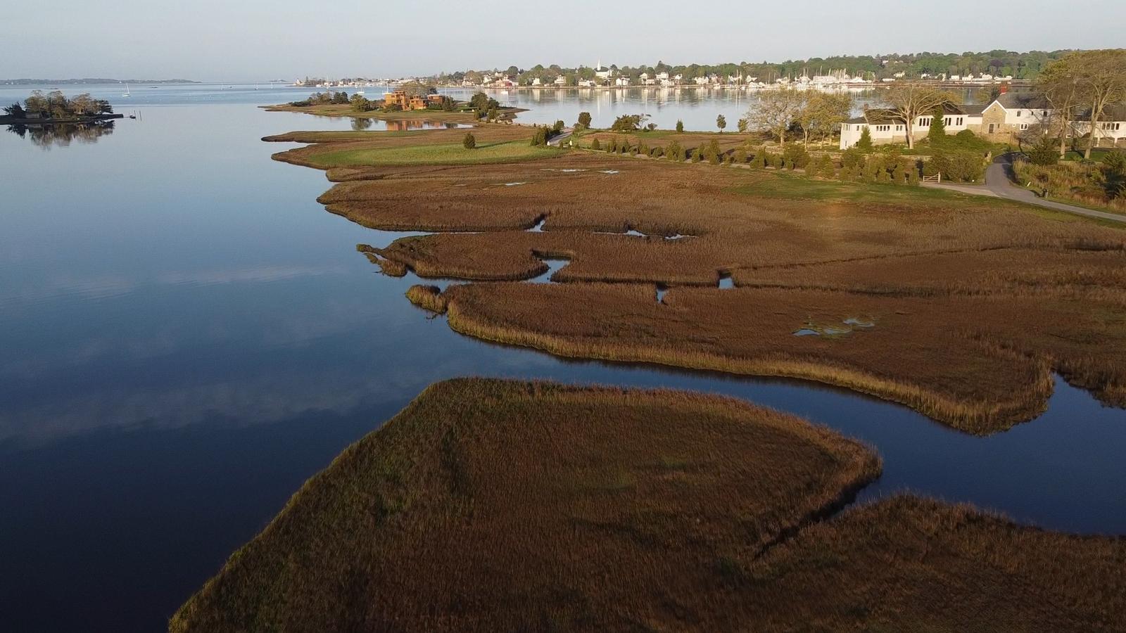 Marsh islands at the mouth of the estuary, where it opens to the river.