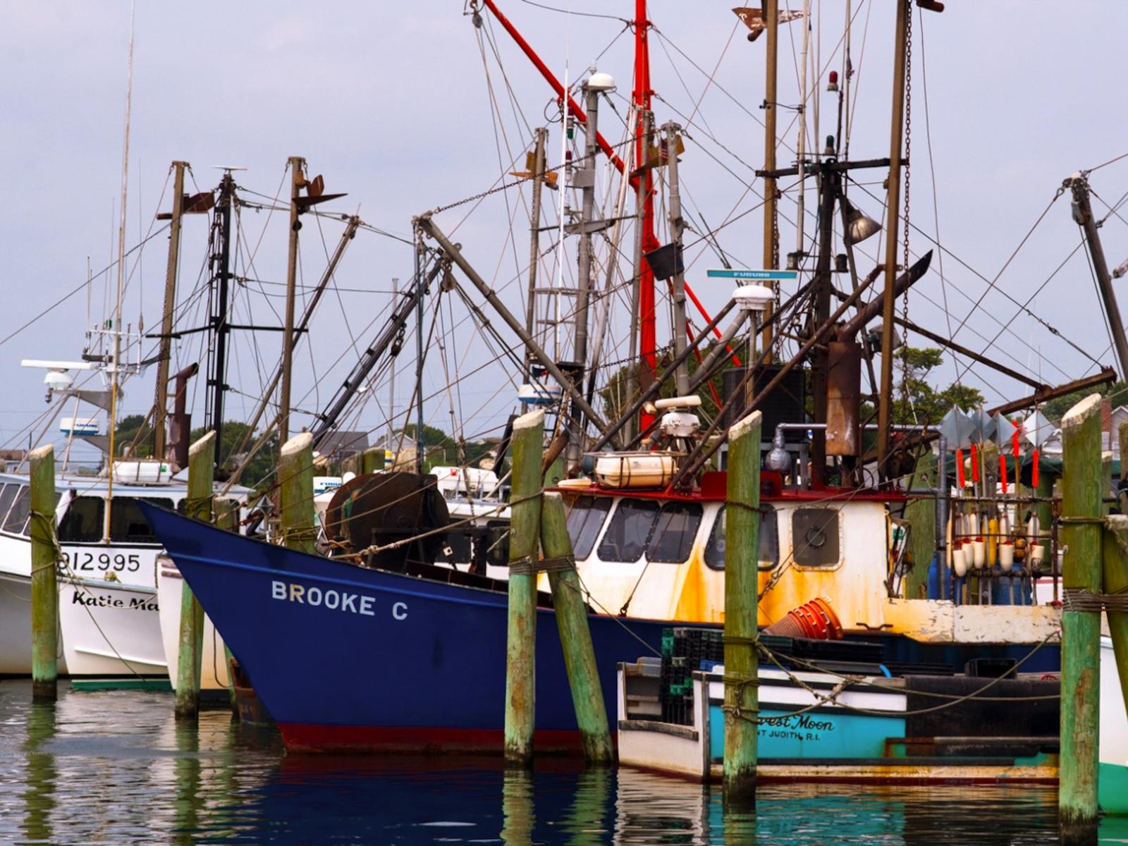 Mason's Island, the Mystic River, and the Stonington shoreline