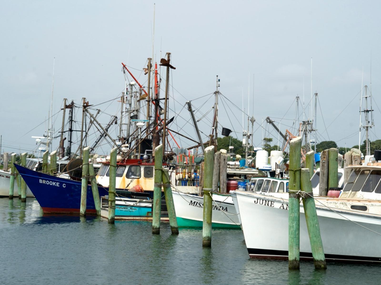 Mason's Island, the Mystic River, and the Stonington shoreline