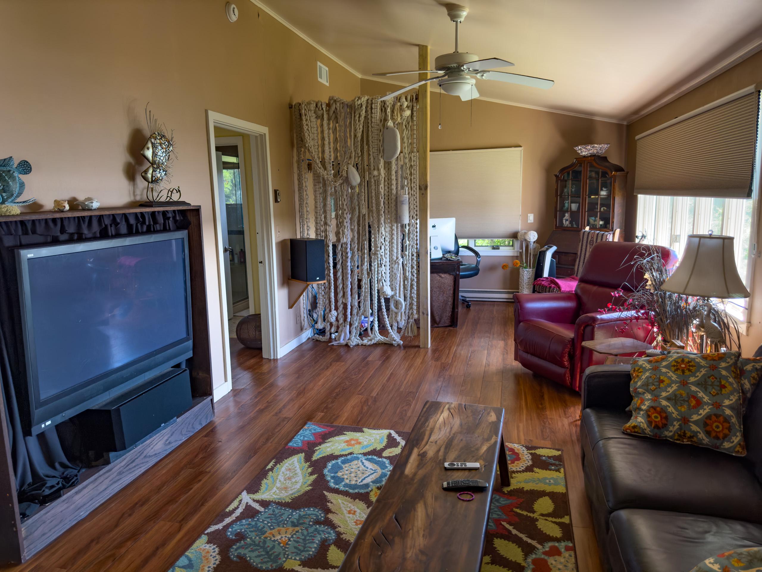 The home theater, with the office corner in the back.