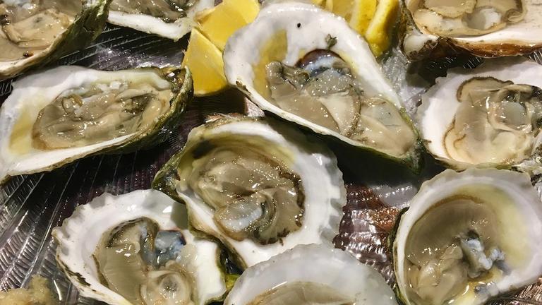 A dozen freshly shucked oysters on the half shell, arranged on a cut-glass platter with lemon wedges and grated horseradish.
