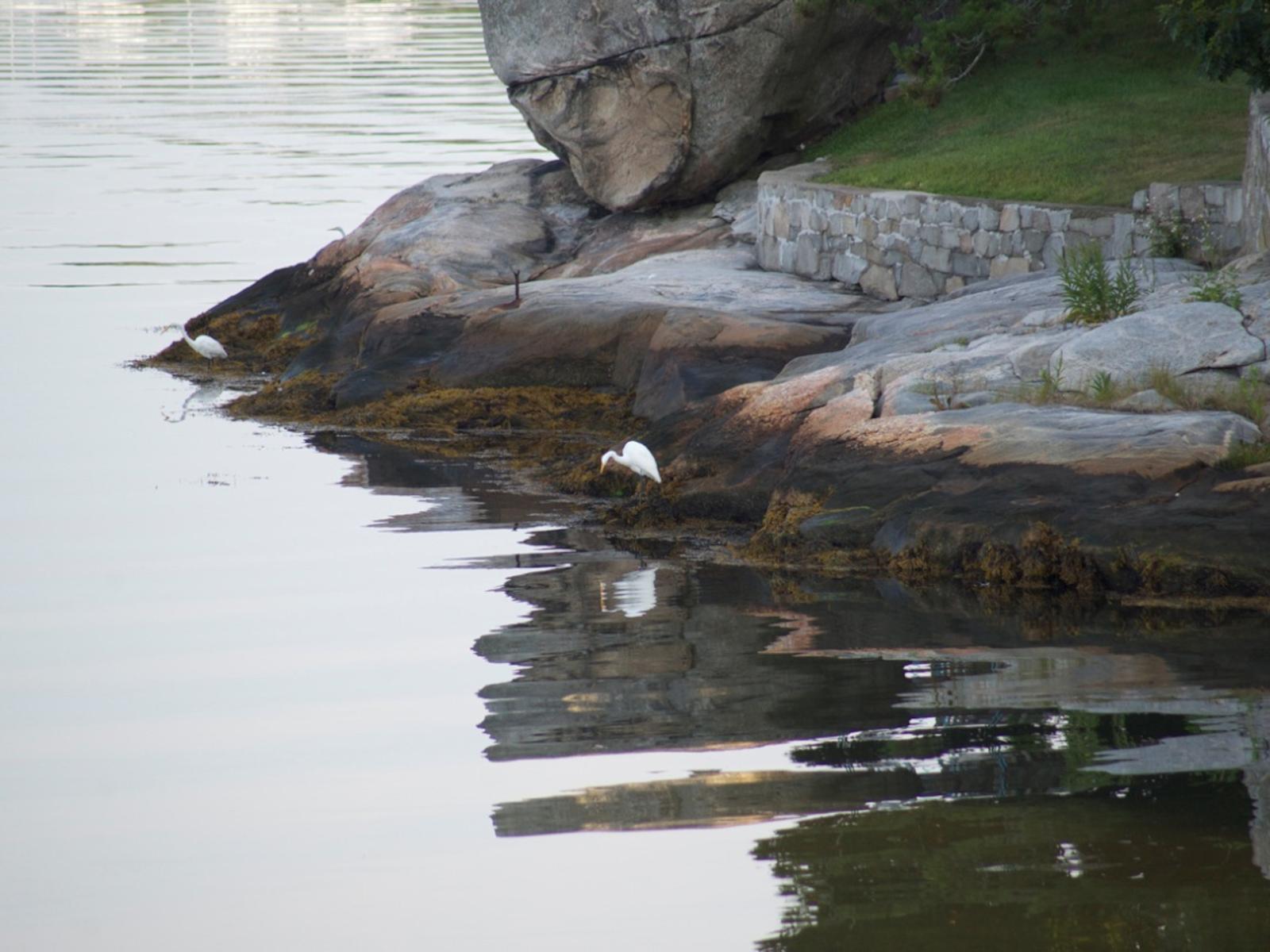 Mason's Island, the Mystic River, and the Stonington shoreline