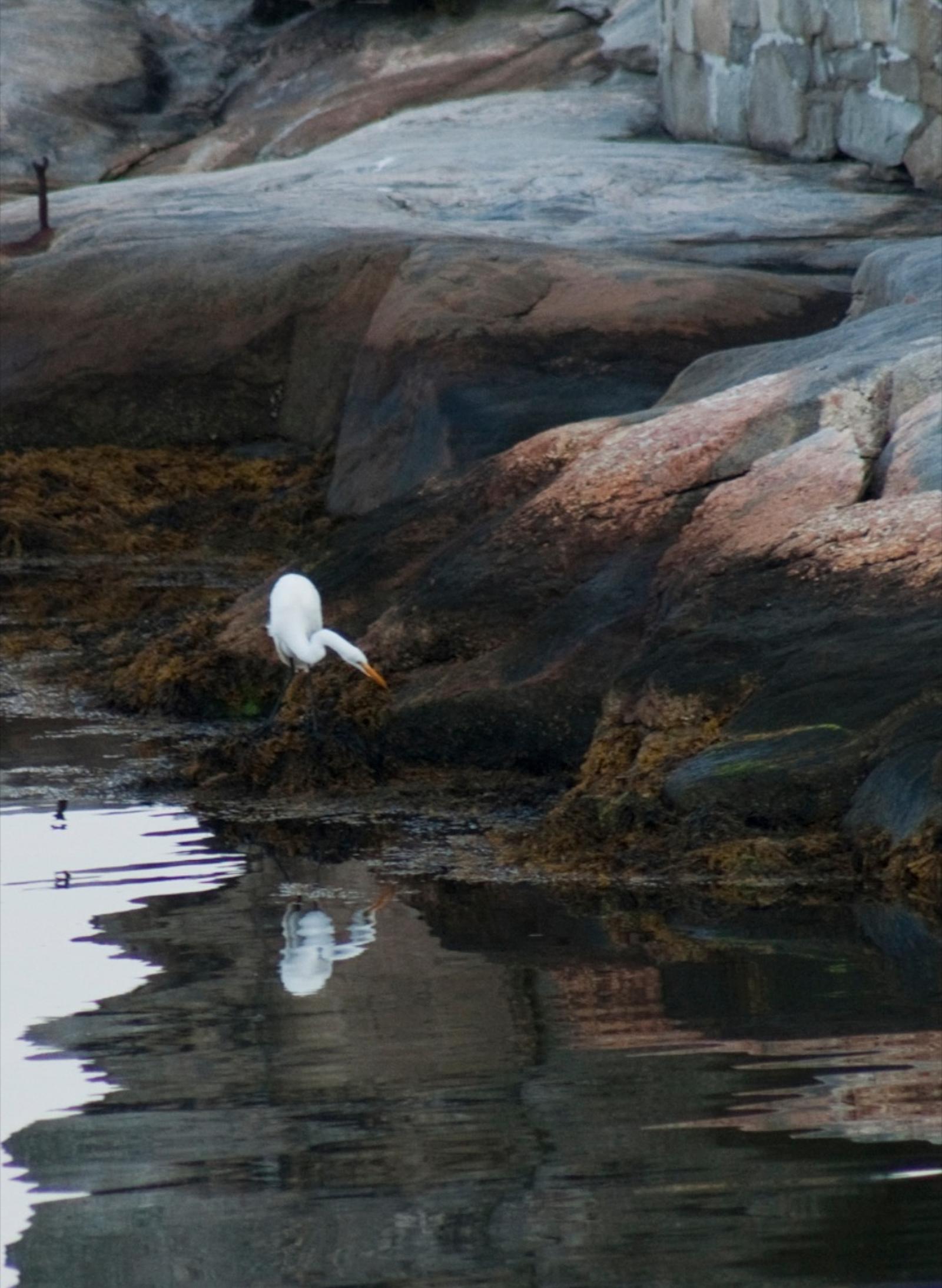 Mason's Island, the Mystic River, and the Stonington shoreline