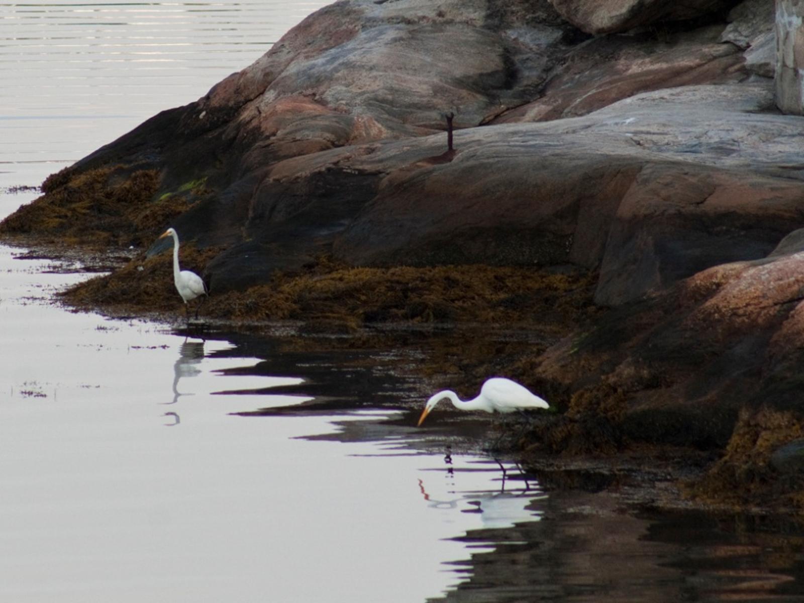 Mason's Island, the Mystic River, and the Stonington shoreline